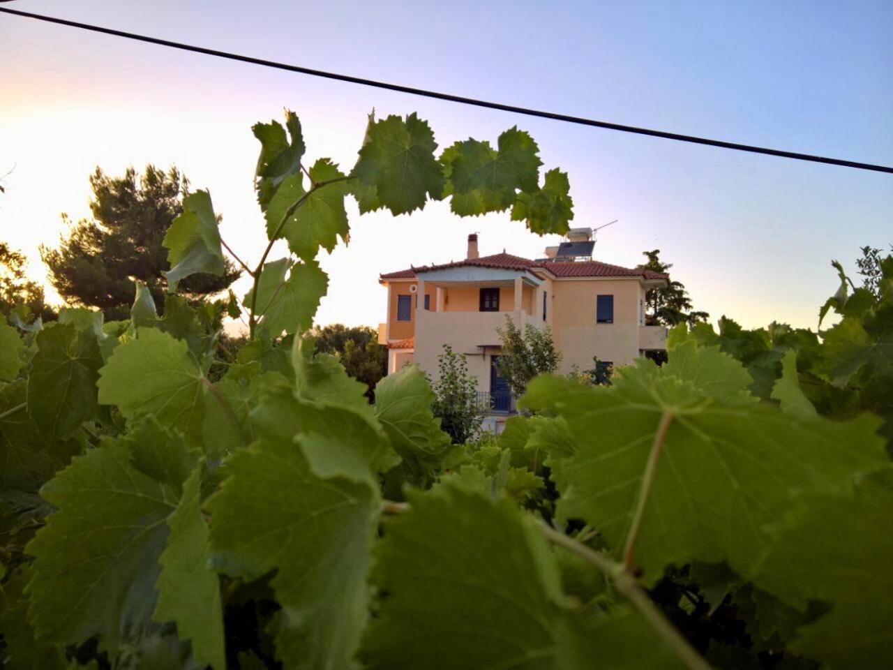 Marita Villa Lisvori Exterior photo